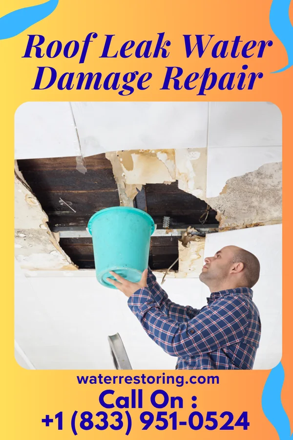 Roof Leak Water Damage Repair in Mona, UT